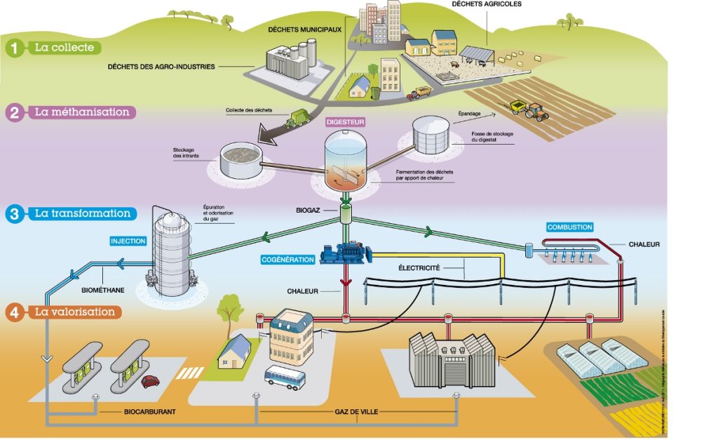 découvrez comment porto rico s'engage dans une transition énergétique durable, alliant innovations écologiques et réduction de la dépendance aux combustibles fossiles, tout en favorisant le développement d'énergies renouvelables.